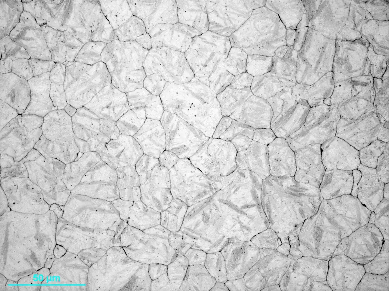 Microstruttura di acciaio dopo normalizzazione, con grani poligonali e bordi ben definiti. Scala 50 &micro;m.